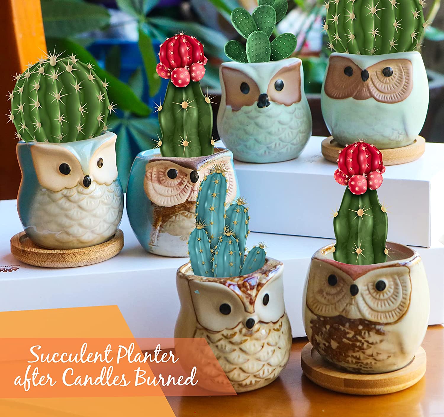 Citronella Candles Outdoor Scented Candles Sets Gifts for Women, 6x3.5oz Novelty Owl Natural Soy Candles for Home Scented, Aromatherapy Candles Bulk for Garden, Porch, Outdoor Patio Decor